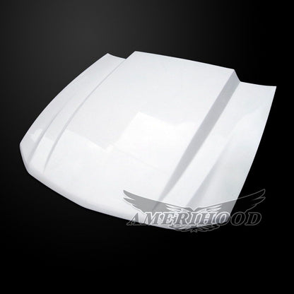 AmeriHood - Ford Mustang Model 2010-2012 Cowl Style Functional Heat Extraction Hood