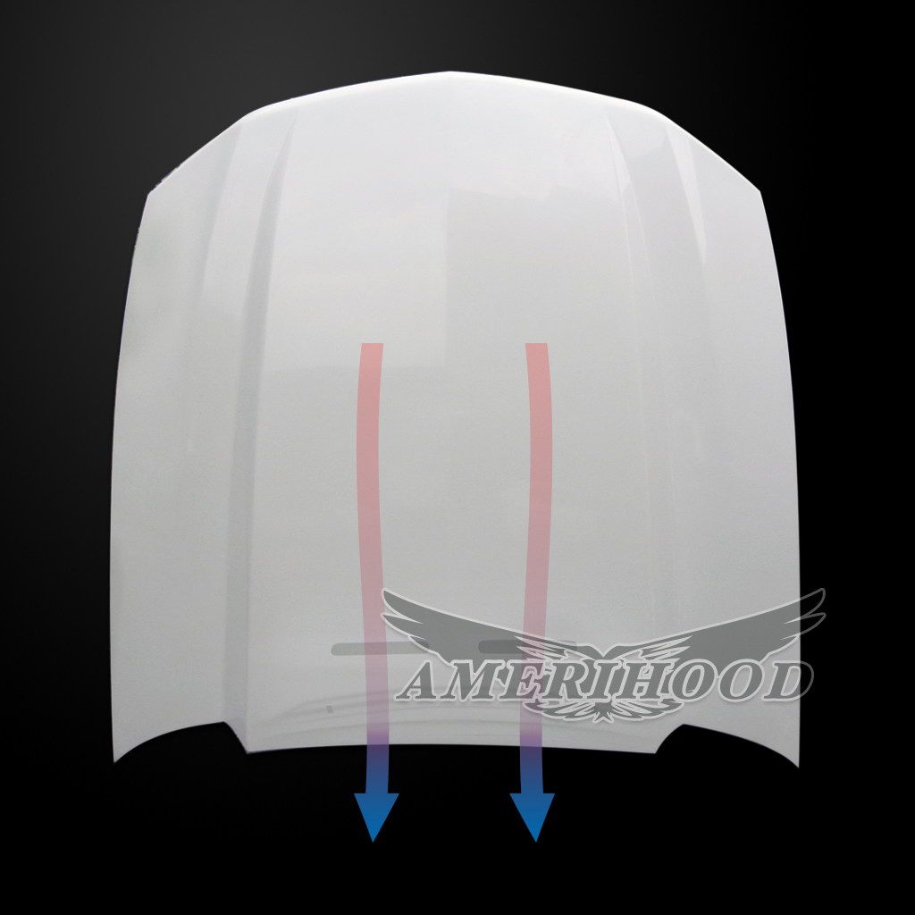 AmeriHood - Ford Mustang Model 2010-2012 Cowl Style Functional Heat Extraction Hood