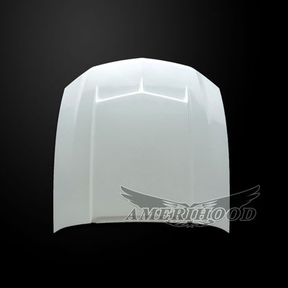 AmeriHood - Ford Mustang Model 2010-2012 C Style Functional Heat Extraction Hood