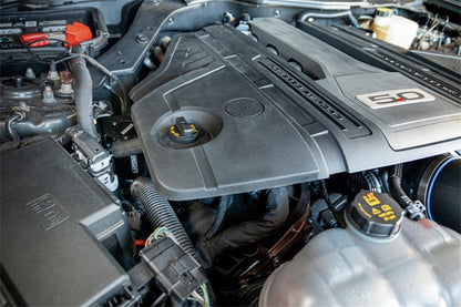 CORSA Performance Corsa 2018+ Ford Mustang GT Catch Can CC0003