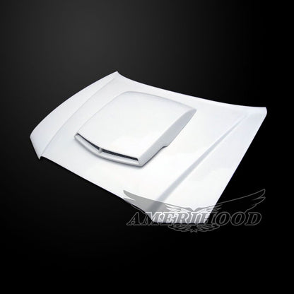 AmeriHood - Dodge Charger 2011-2014 Type-DEM Style Functional Heat Extraction Ram Air Hood