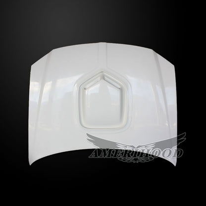 AmeriHood - Dodge Magnum 2005-2007 Type-Shaker Style Functional Ram Air Hood