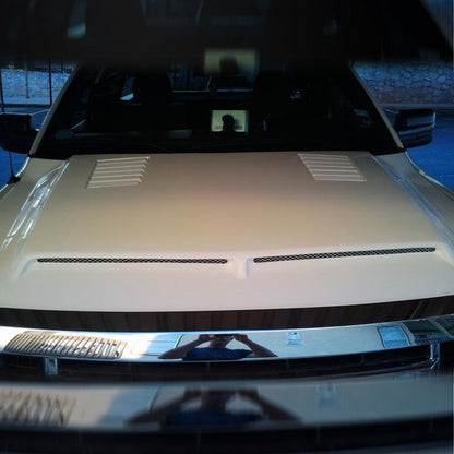 AmeriHood - Ford F-150 2009-2014 Type-E Style Functional Heat Extractor Ram Air Hood