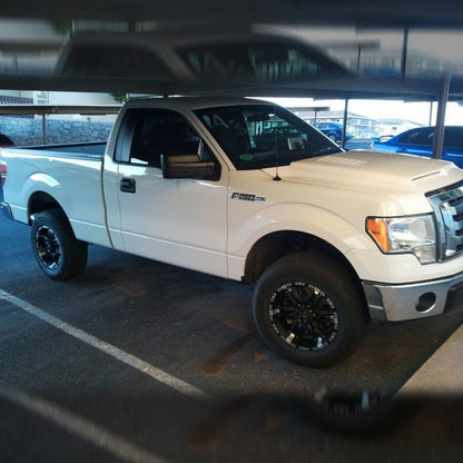 AmeriHood - Ford F-150 2009-2014 Type-E Style Functional Heat Extractor Ram Air Hood