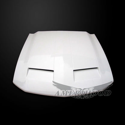 AmeriHood - Ford Mustang 2005-2009 Type-GTR Style Functional Ram Air Hood