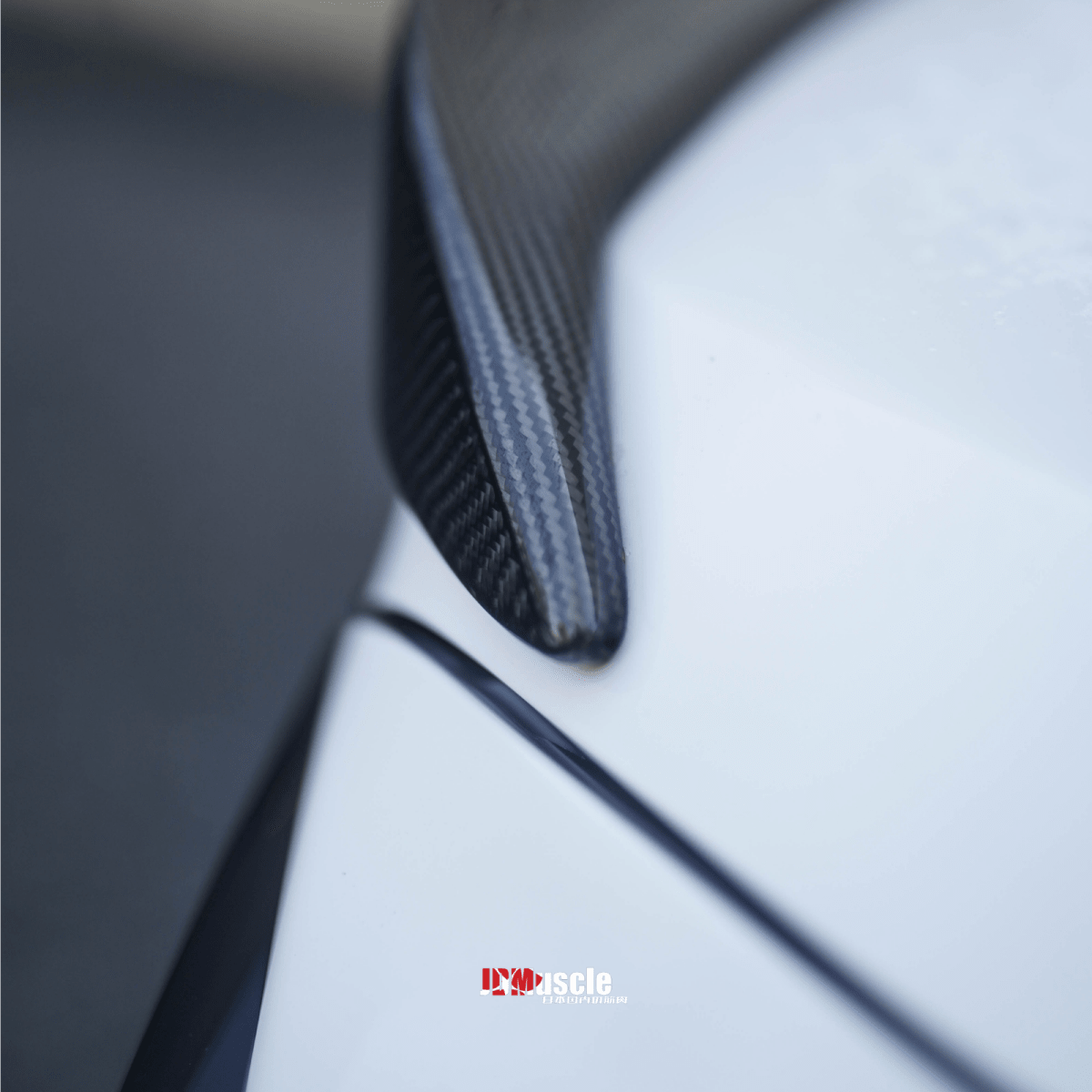 JDMuscle [22-26 WRX] Tanso Carbon Fiber Duck Bill V1